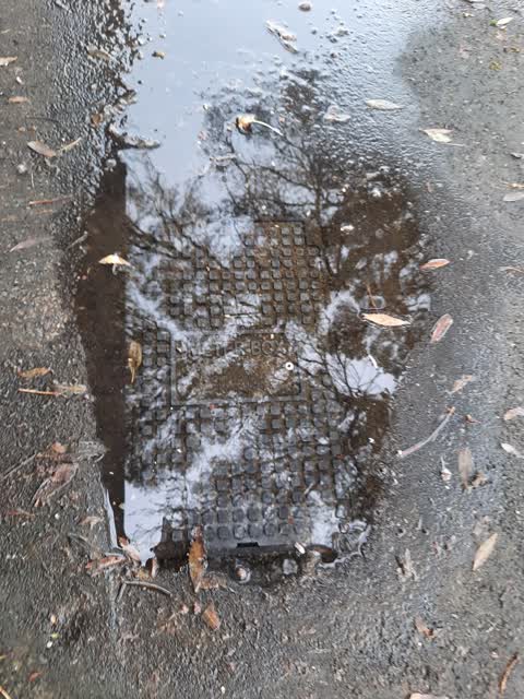 Water Leak, a report photo