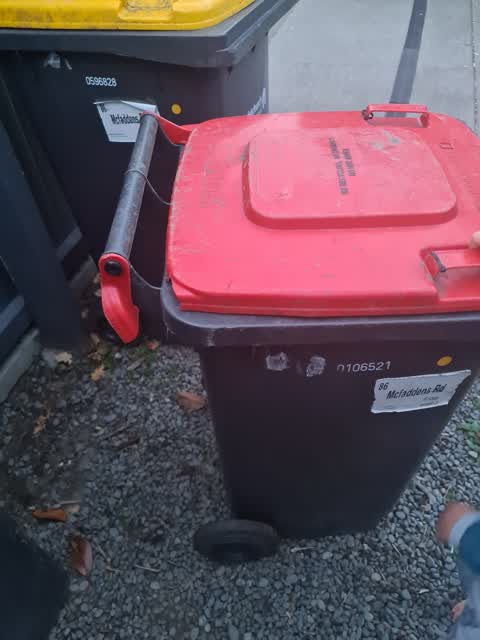 Rubbish/Recycling, a report photo