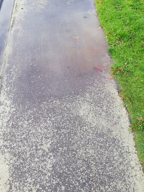 Water Leak, a report photo
