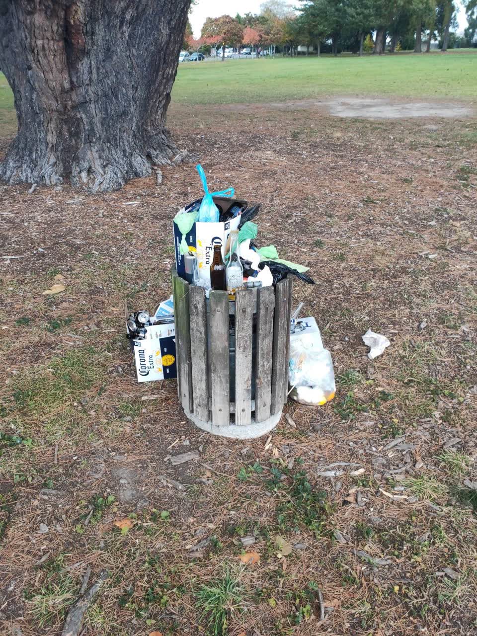 The photograph attached to this rubbish/recycling report
