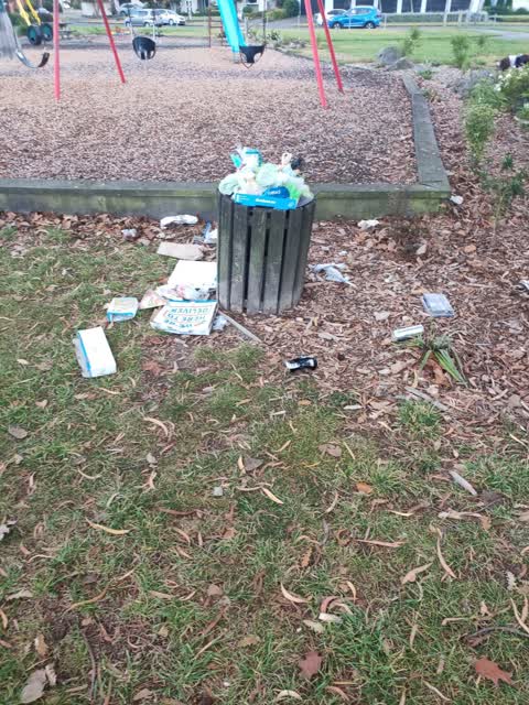 Rubbish/Recycling — a report photo