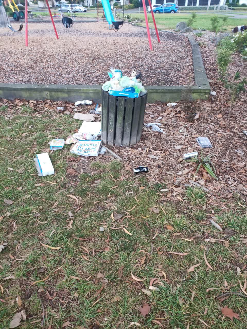 The photograph attached to this rubbish/recycling report