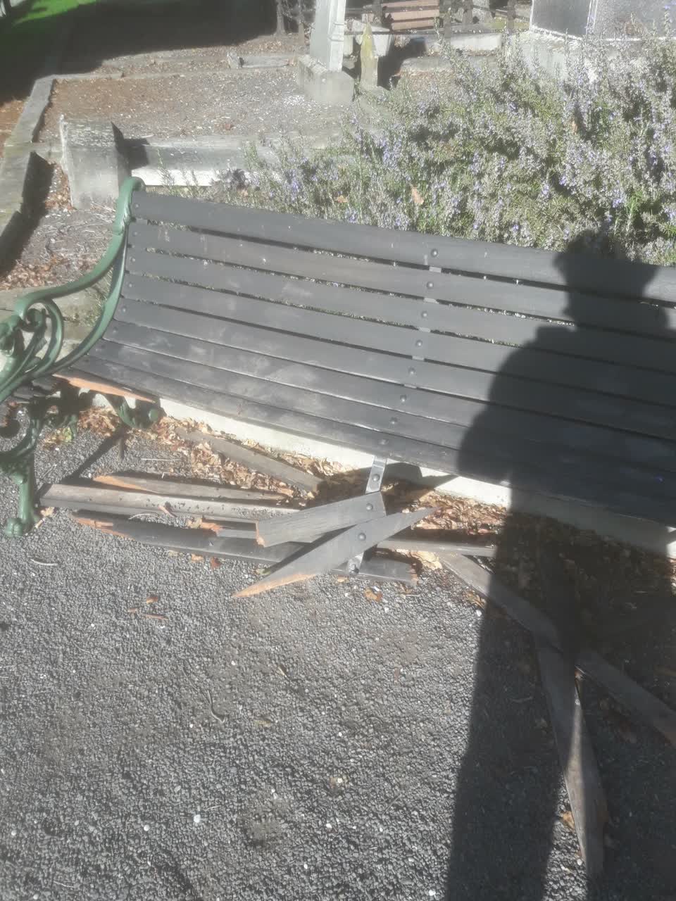 The photograph attached to this parks report