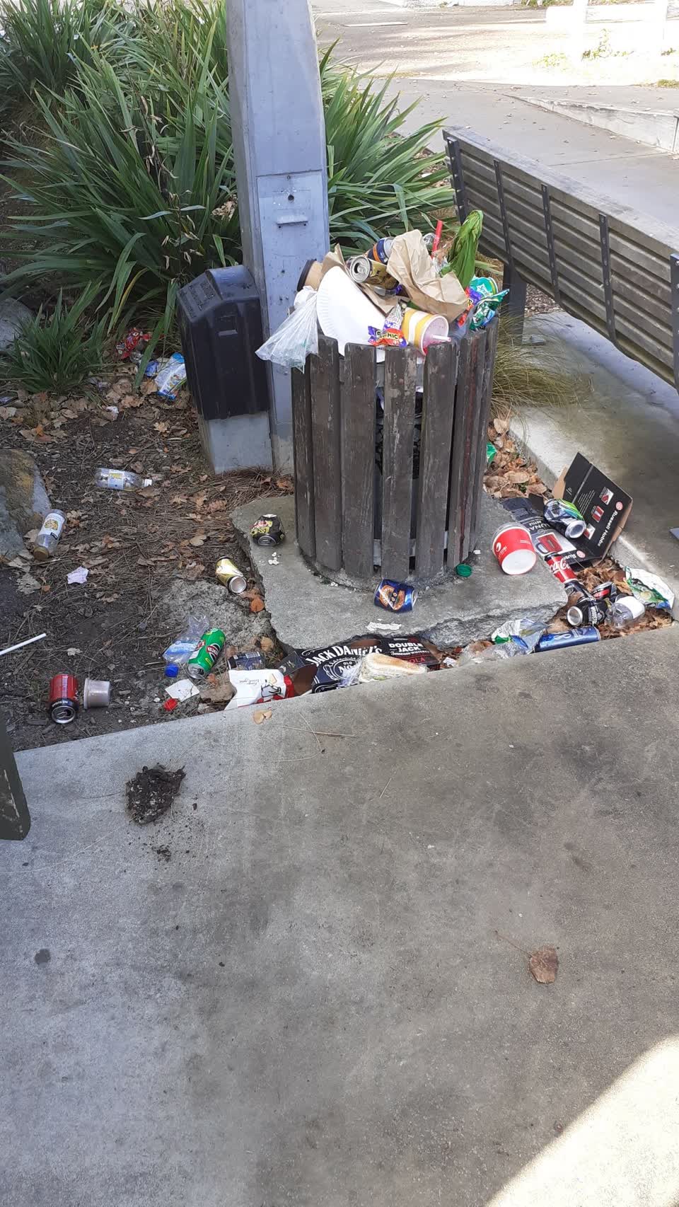 The photograph attached to this parks report