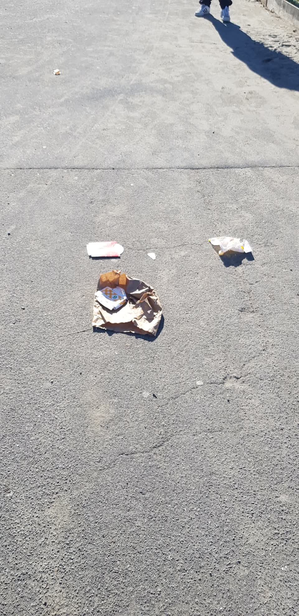 The photograph attached to this rubbish/recycling report