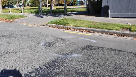 Roading/Streets, a report photo