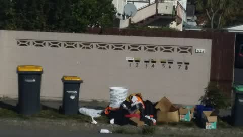 Rubbish/Recycling, a report photo
