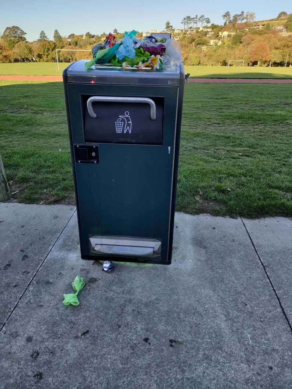 The photograph attached to this rubbish/recycling report