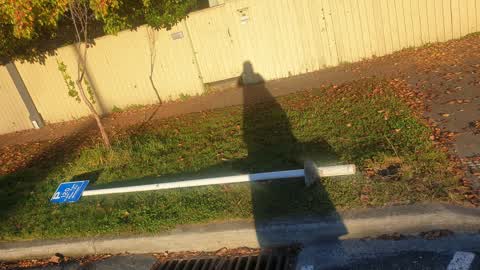 Roading/Streets, a report photo