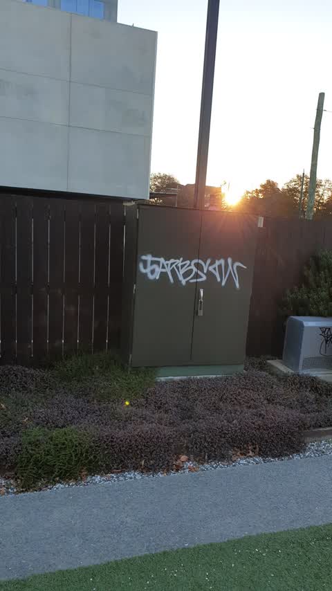 Graffiti — a report photo