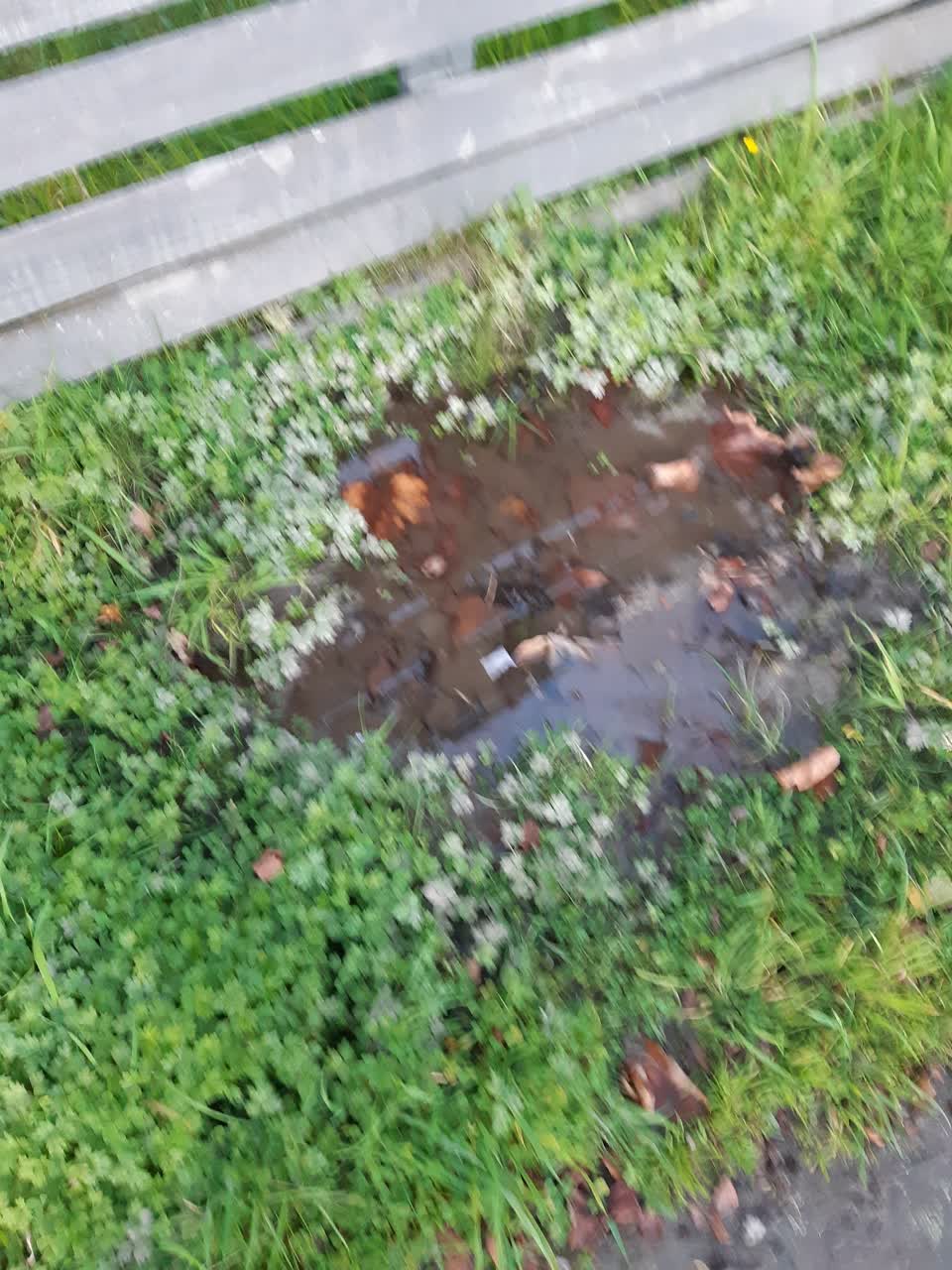 The photograph attached to this water leak report