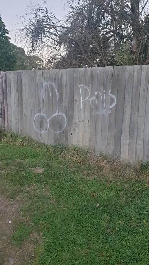 Graffiti, a report photo