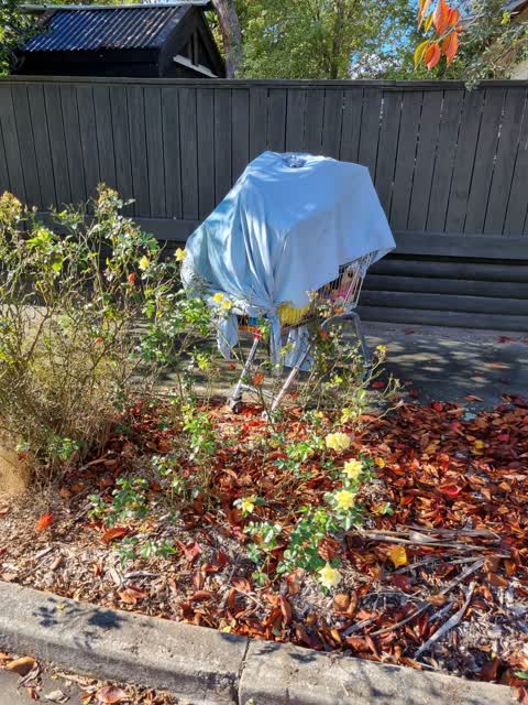 Rubbish/Recycling, a report photo