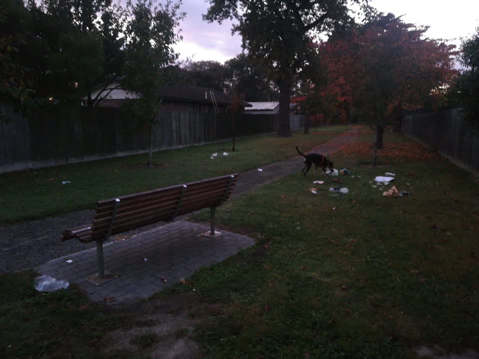 The photograph attached to this rubbish/recycling report