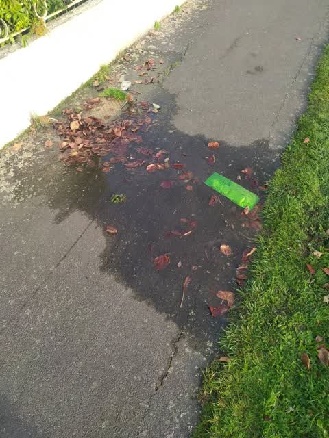 Water Leak, a report photo
