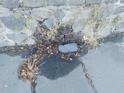 Wastewater/Stormwater, a report photo