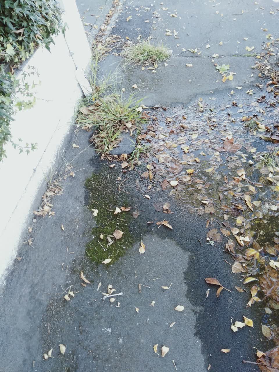 The photograph attached to this wastewater/stormwater report