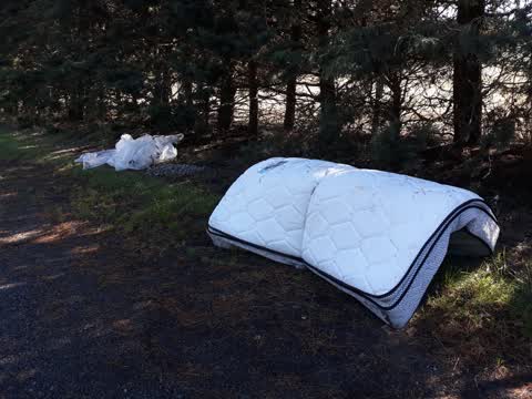 Rubbish/Recycling, a report photo