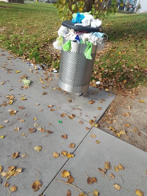 Rubbish/Recycling — a report photo