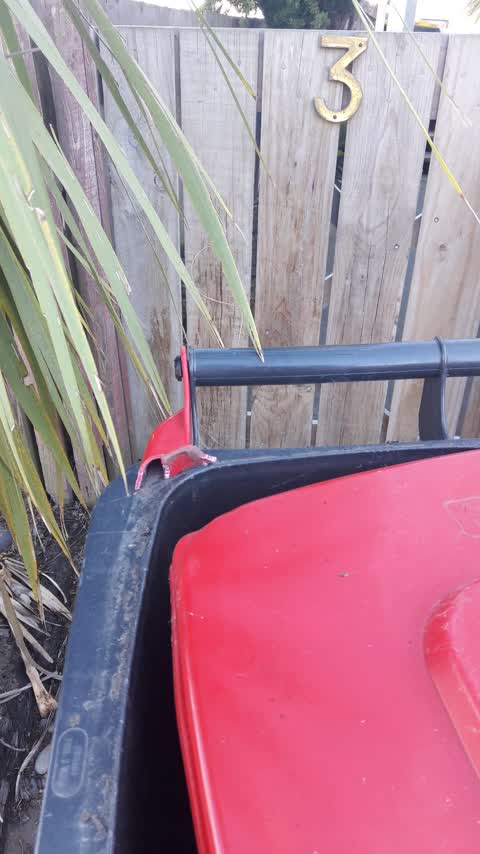Rubbish/Recycling, a report photo