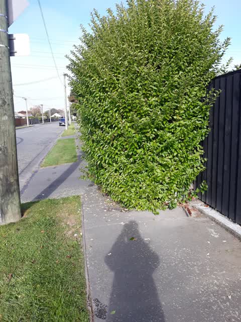 Roading/Streets, a report photo