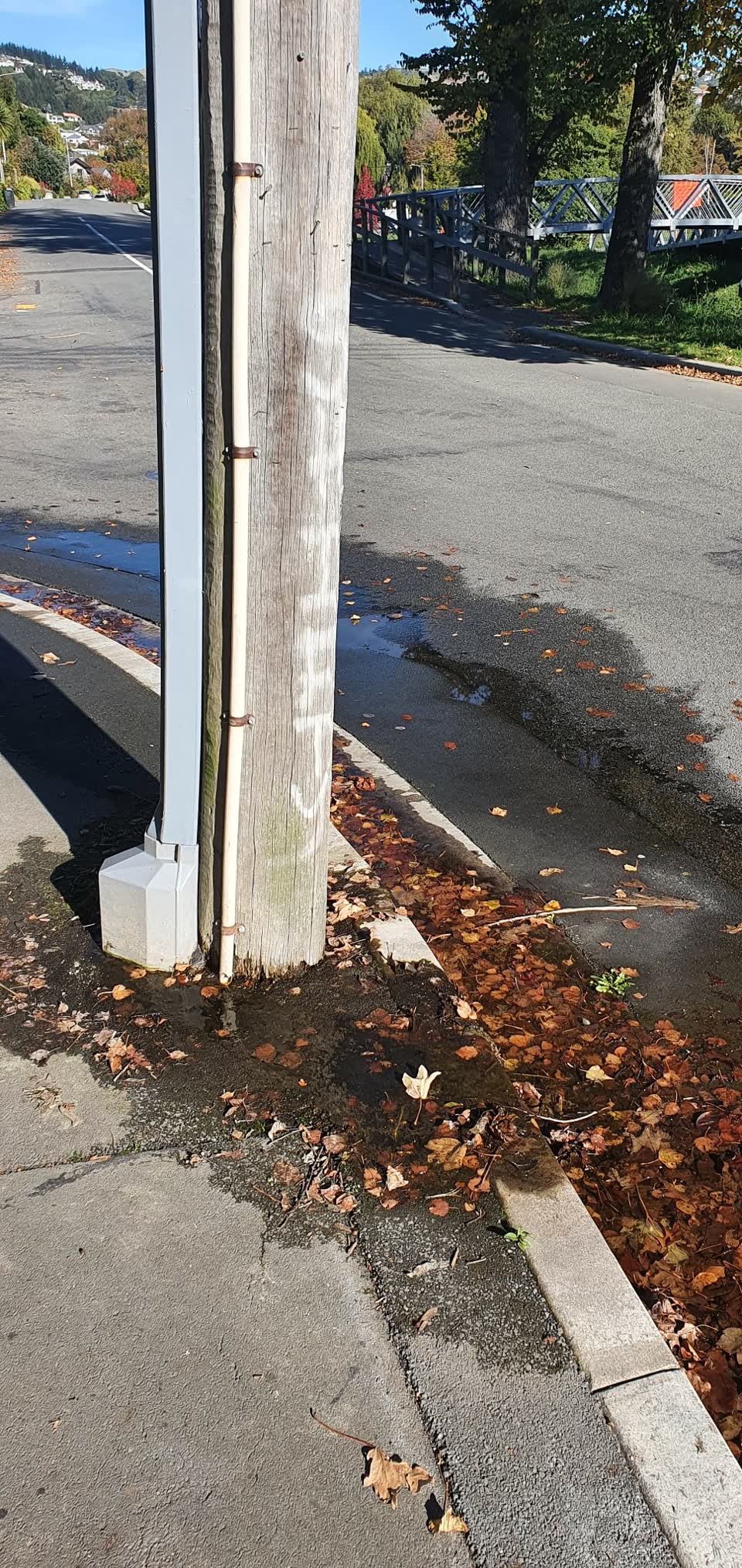 The photograph attached to this water leak report