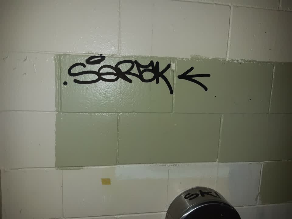 The photograph attached to this graffiti report