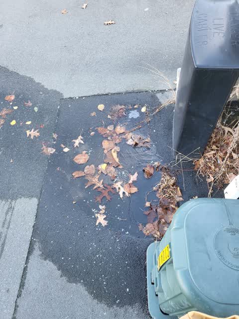 Water Leak, a report photo
