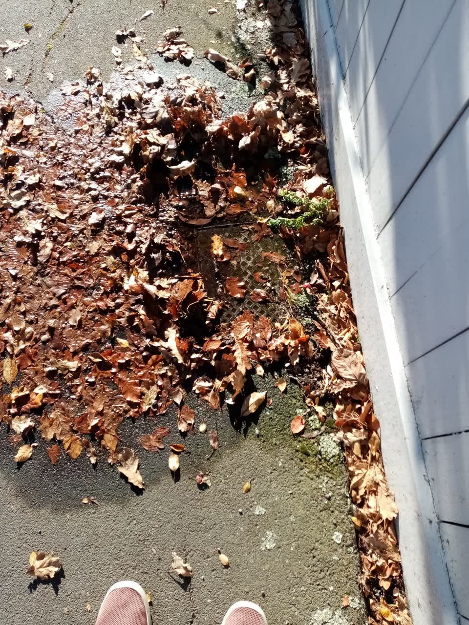The photograph attached to this water leak report