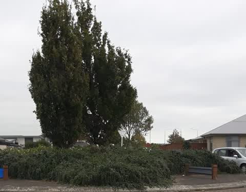 Roading/Streets, a report photo