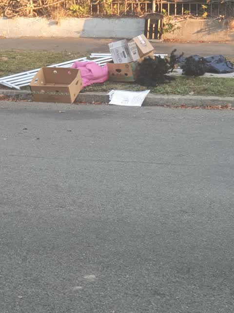 Rubbish/Recycling, a report photo