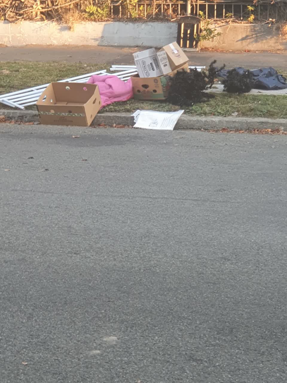 The photograph attached to this rubbish/recycling report