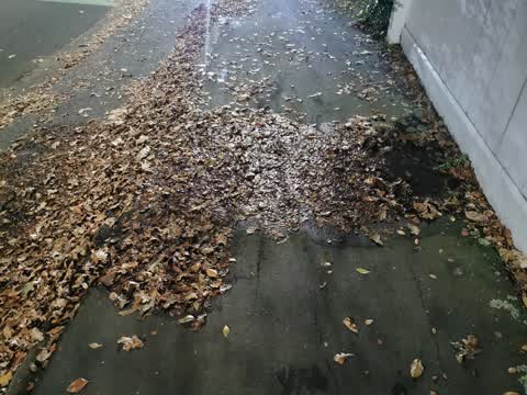 Wastewater/Stormwater, a report photo