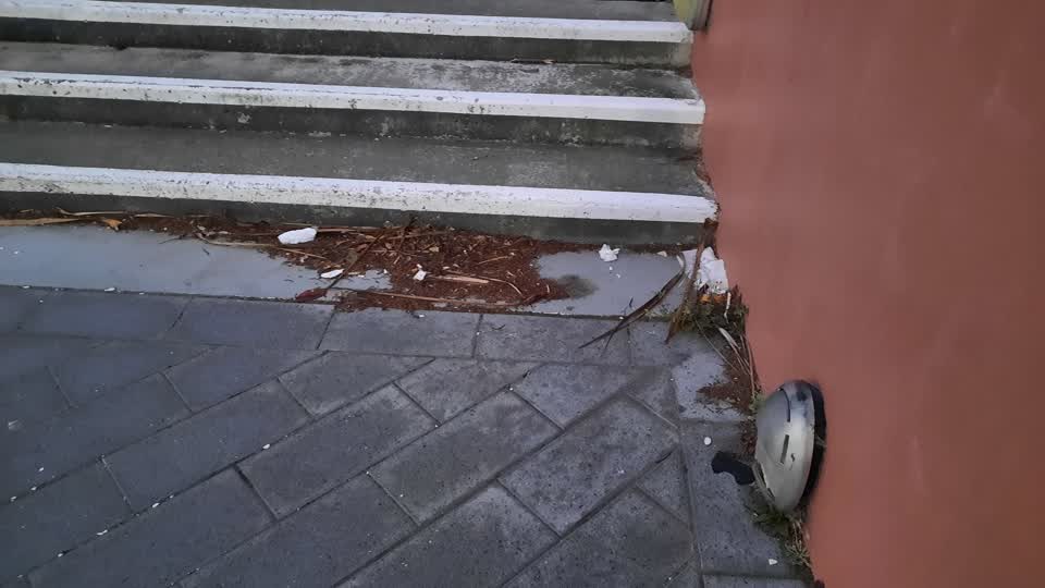 The photograph attached to this parks report