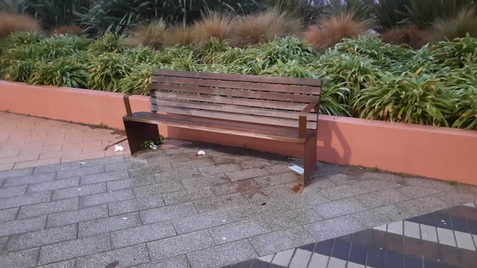 The photograph attached to this parks report