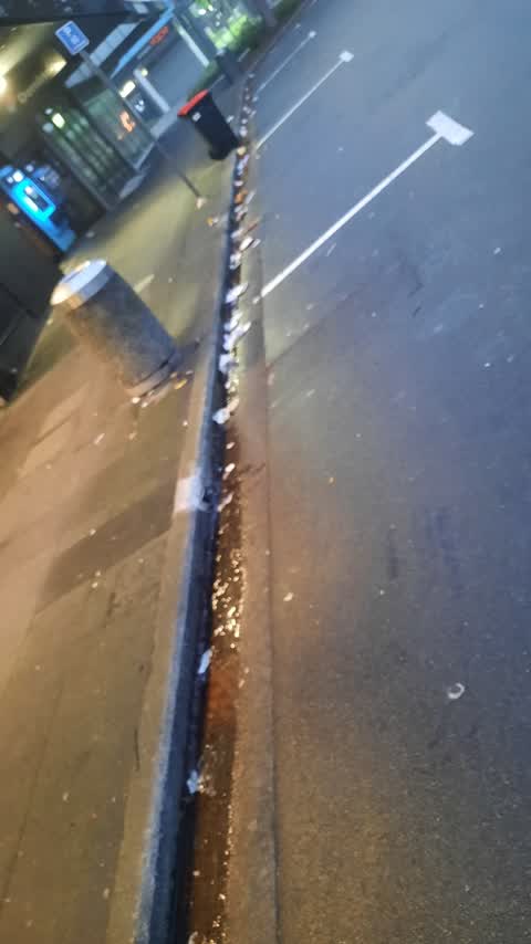 Rubbish/Recycling, a report photo