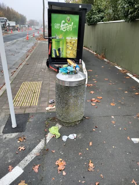 Rubbish/Recycling, a report photo