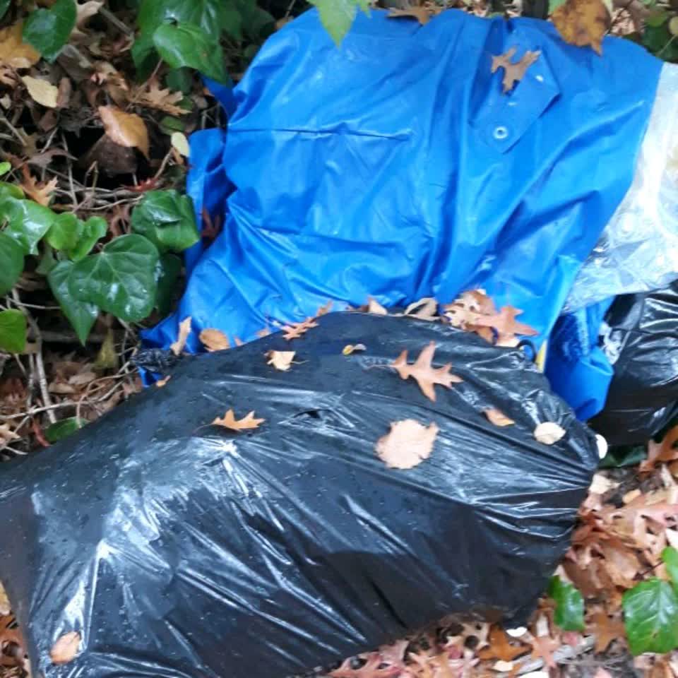 The photograph attached to this rubbish/recycling report