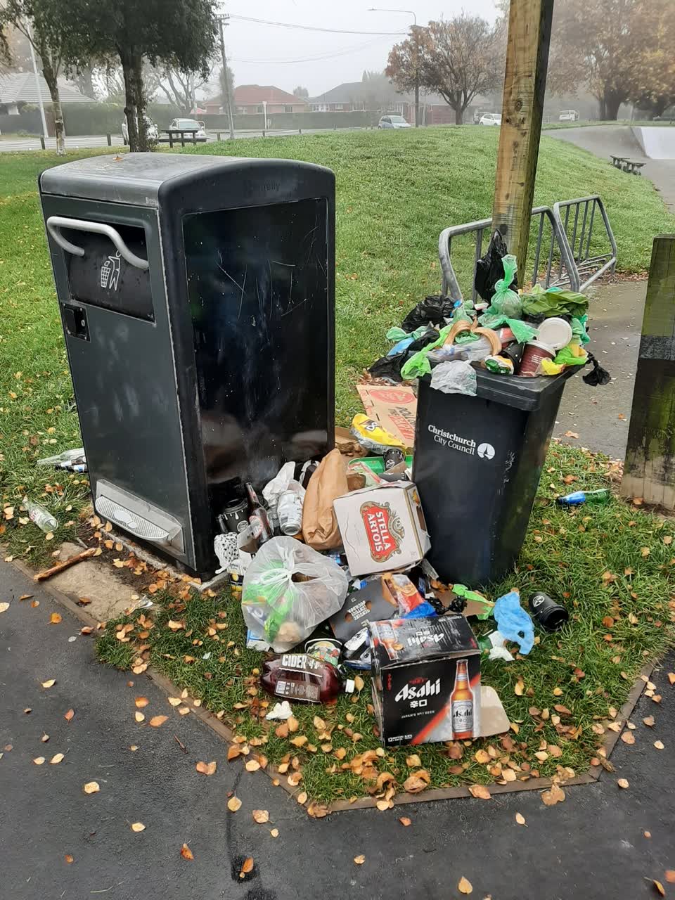 The photograph attached to this rubbish/recycling report