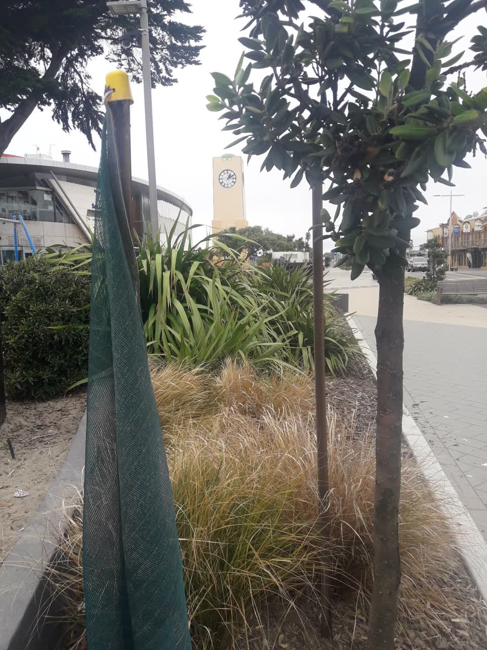 The photograph attached to this parks report