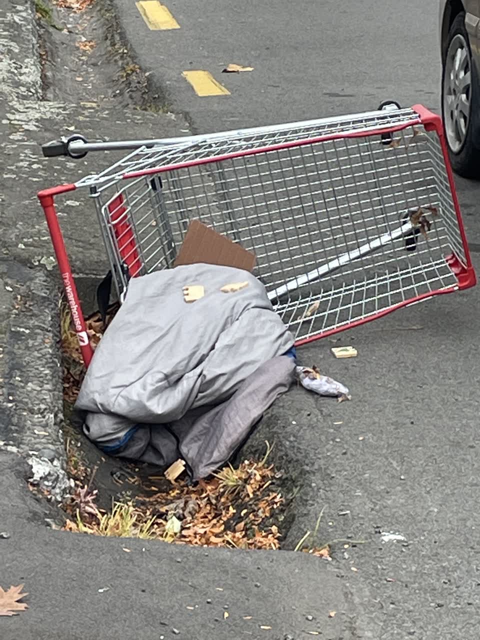 The photograph attached to this rubbish/recycling report