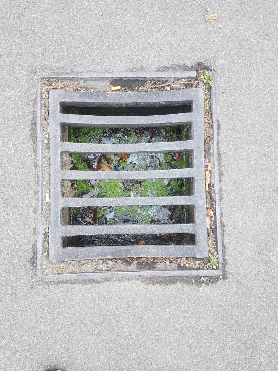 The photograph attached to this general request report