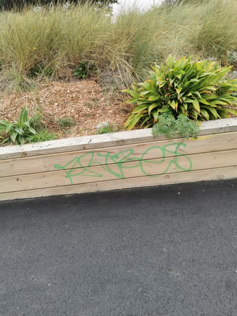 Graffiti, a report photo