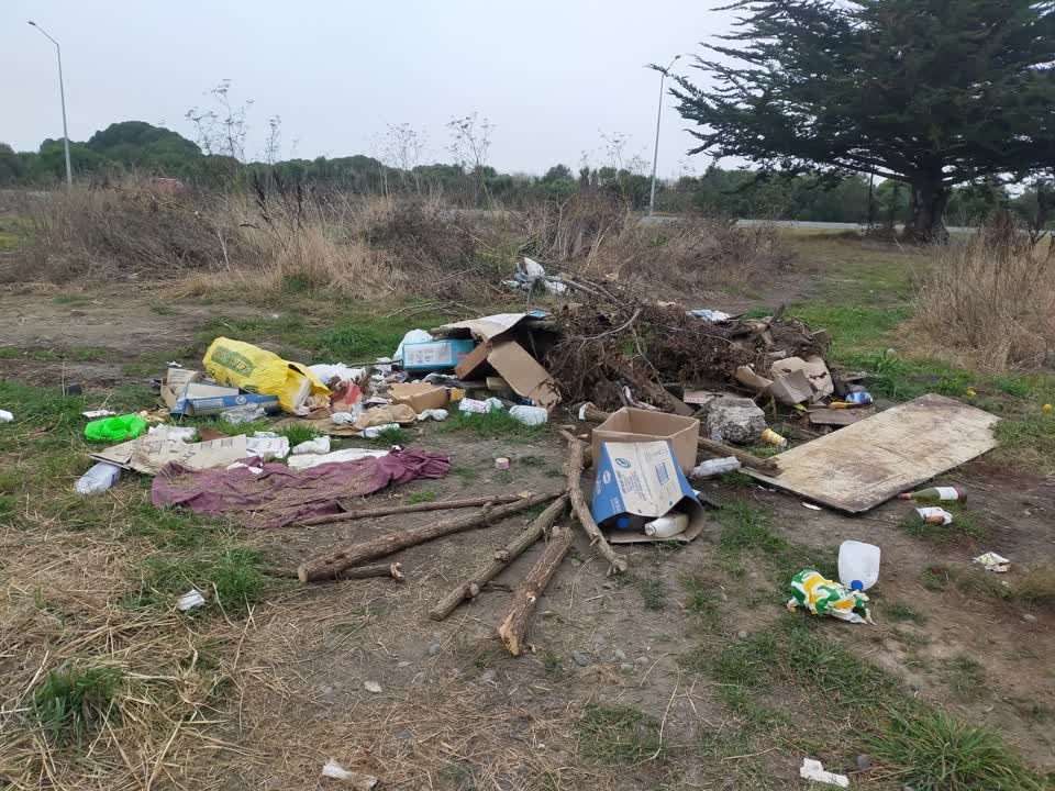 The photograph attached to this rubbish/recycling report