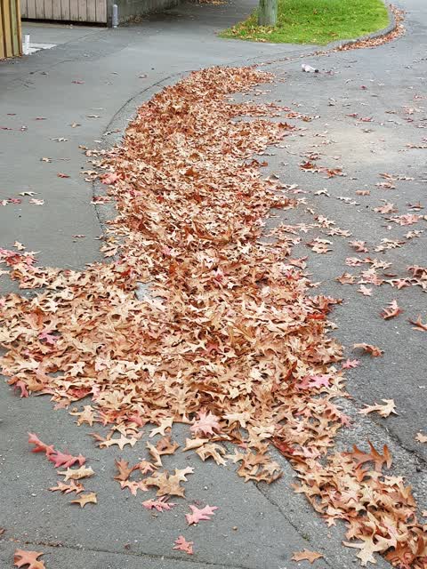 Roading/Streets — a report photo