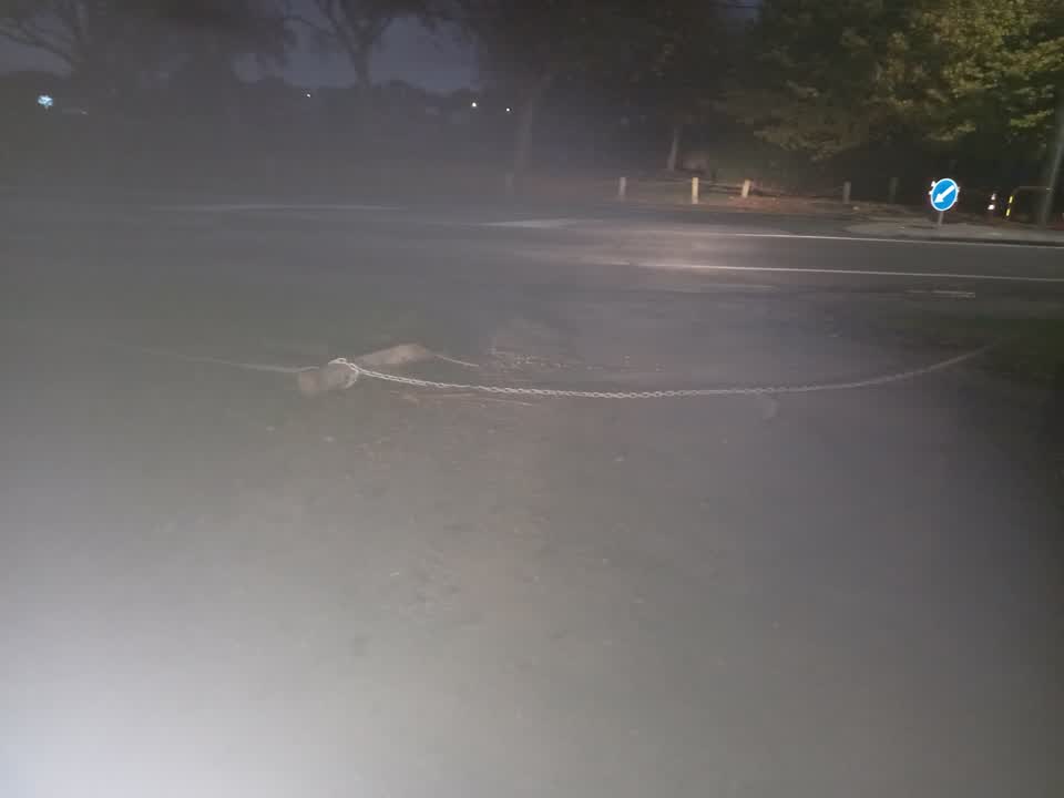 The photograph attached to this parks report