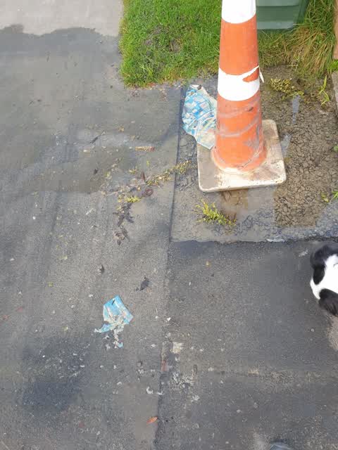 Water Leak, a report photo