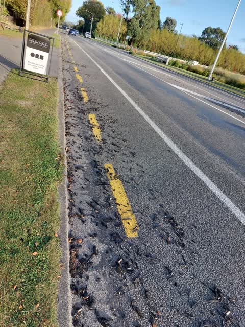 Roading/Streets, a report photo