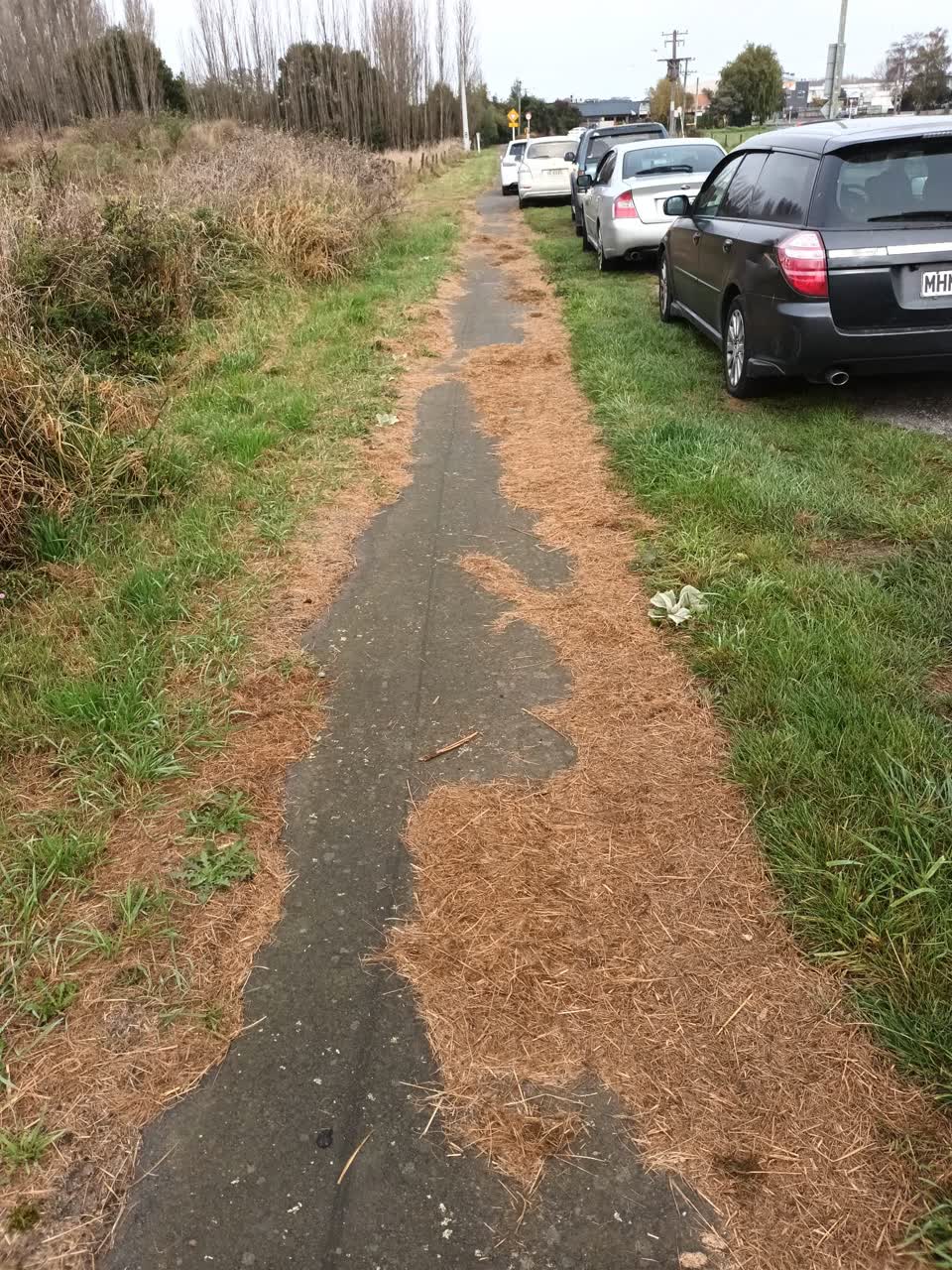 The photograph attached to this roading/streets report