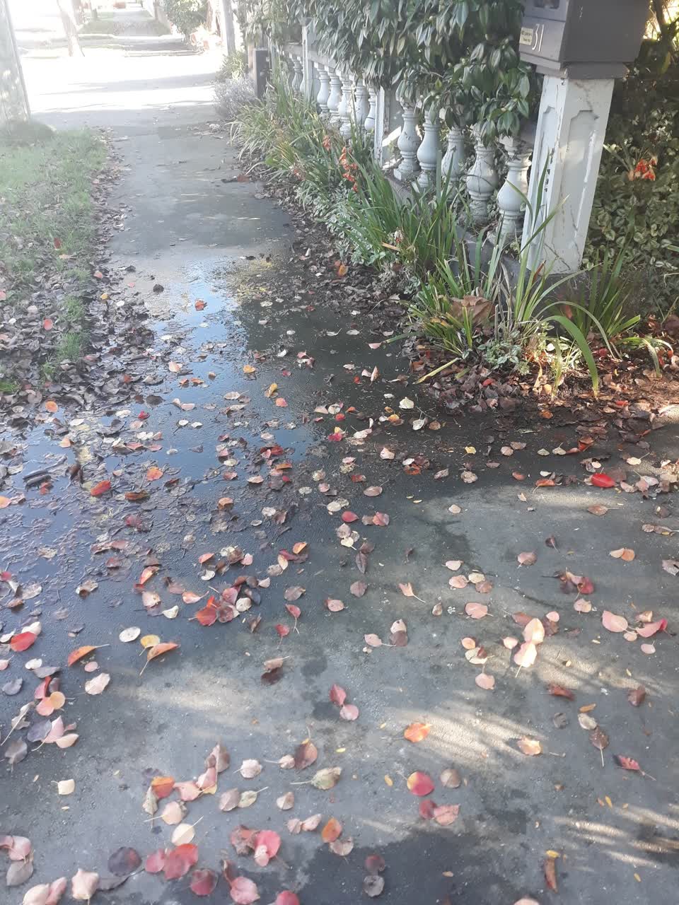 The photograph attached to this roading/streets report